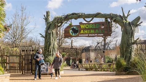  Der Fuyuan Wildlife Zoo: Ein Paradies für Tierliebhaber und Abenteurer!