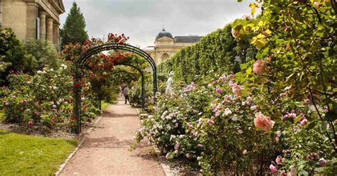  Der Jardin des Plantes: Ein Botanisches Wunderland im Herzen von Paris!