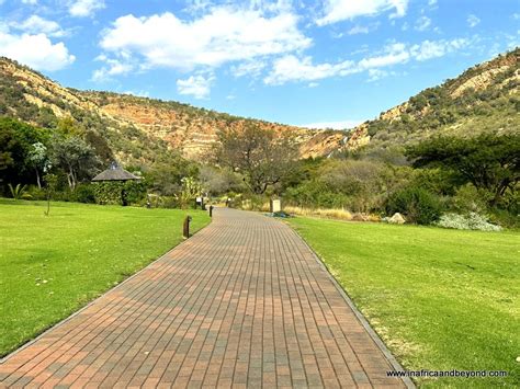 Die Walter Sisulu National Botanical Garden: Ein Paradies der Pflanzenvielfalt und ein Ort der Ruhe!